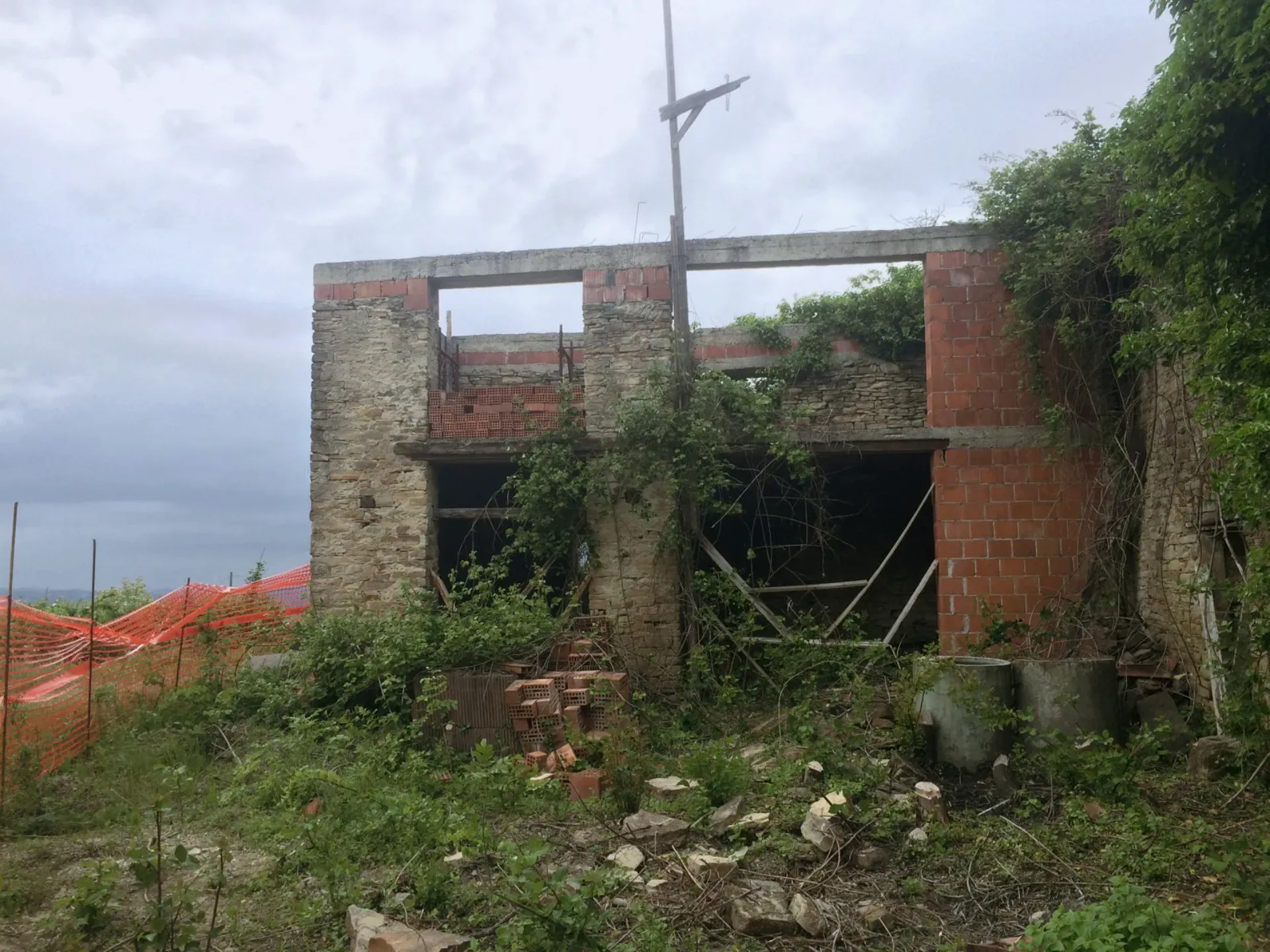 The farmhouse as we found it, reclaimed by the woods
